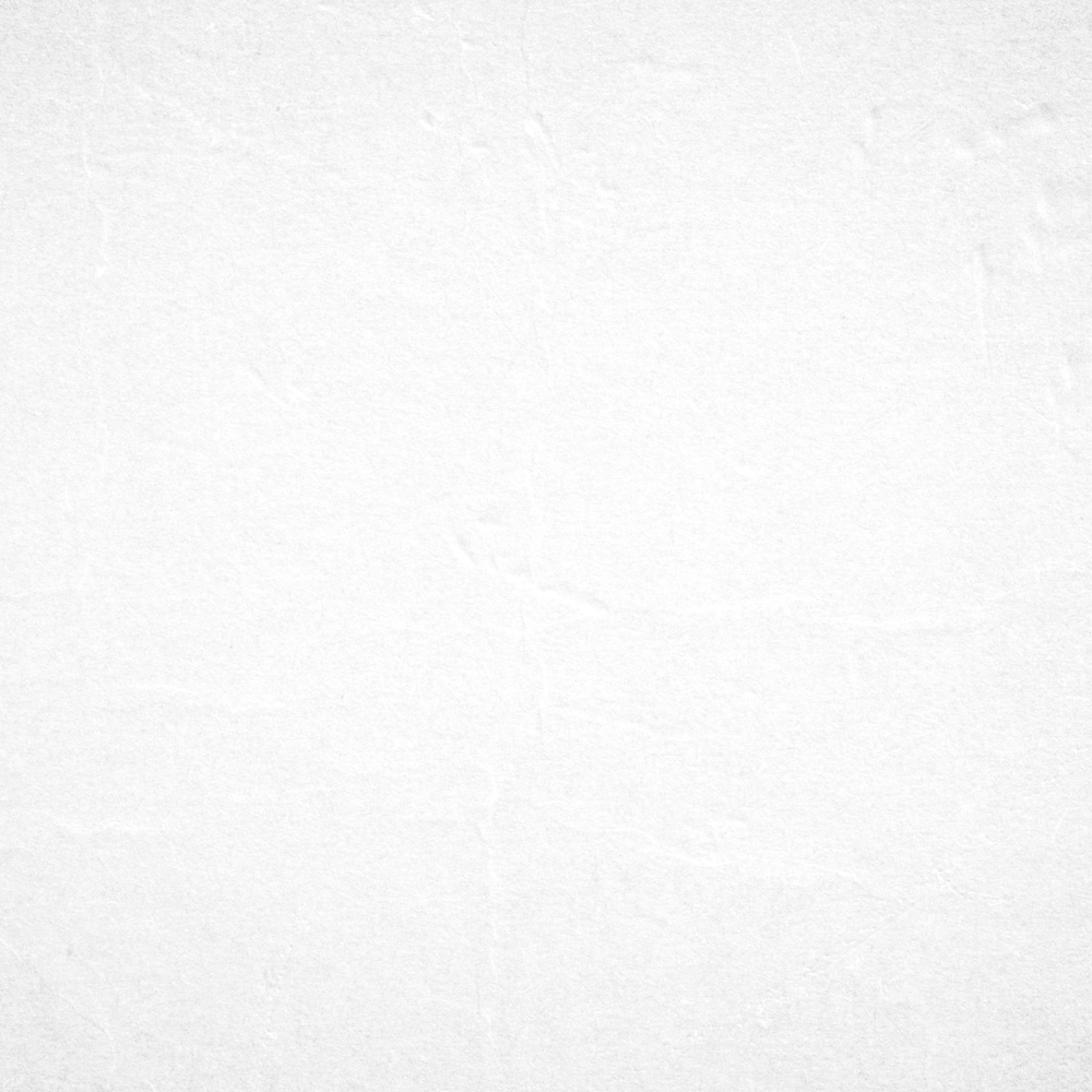 White paper background.